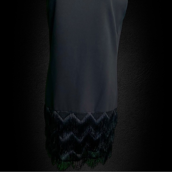 BCBGMaxAzria ‘Addilyn’ Fringe Trim Shift Dress in Black Size 6 - Picture 14 of 15